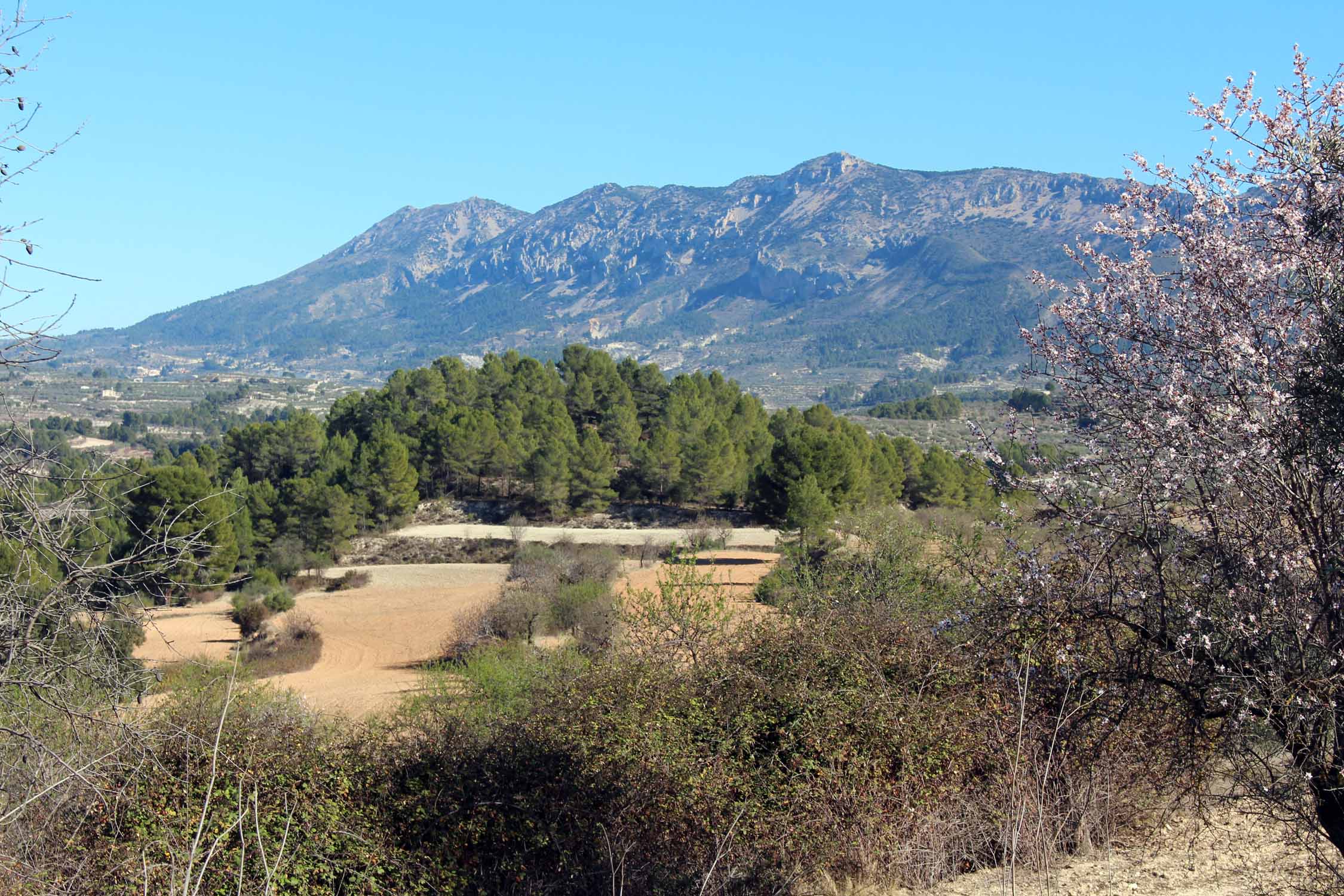 Alcoy, paysage