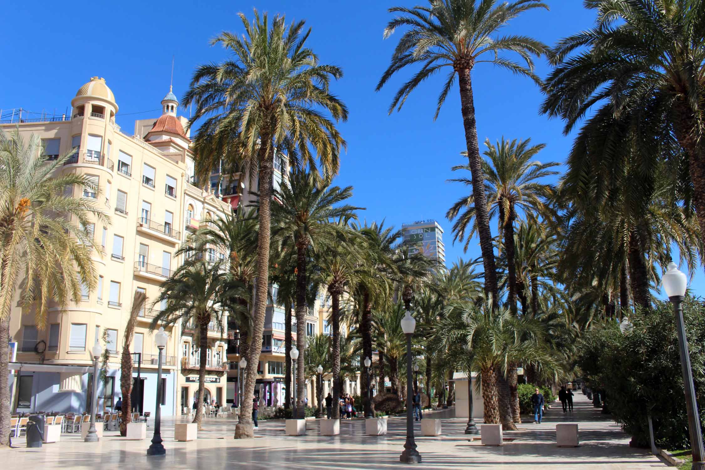 Alicante, esplanade d'Espagne, palmiers