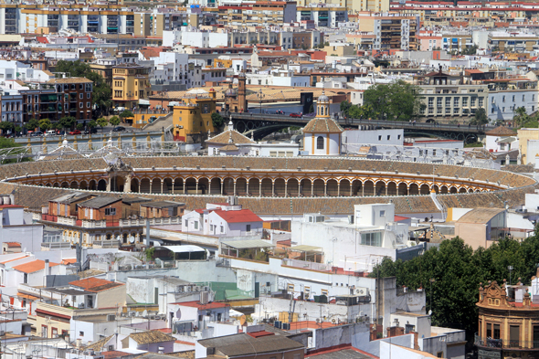 Séville, Real Maestranza