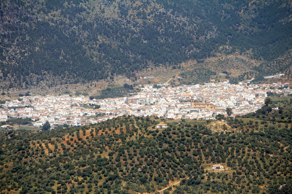 Algodonales, Andalousie