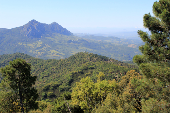 Sierra Bermeja, Andalousie