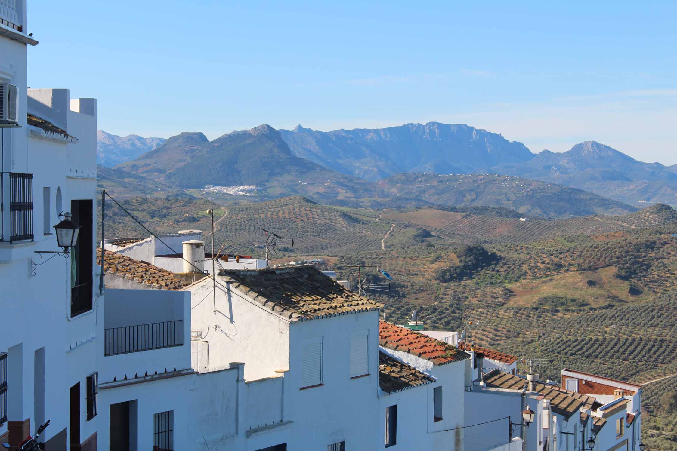 Olvera, maisons blanches