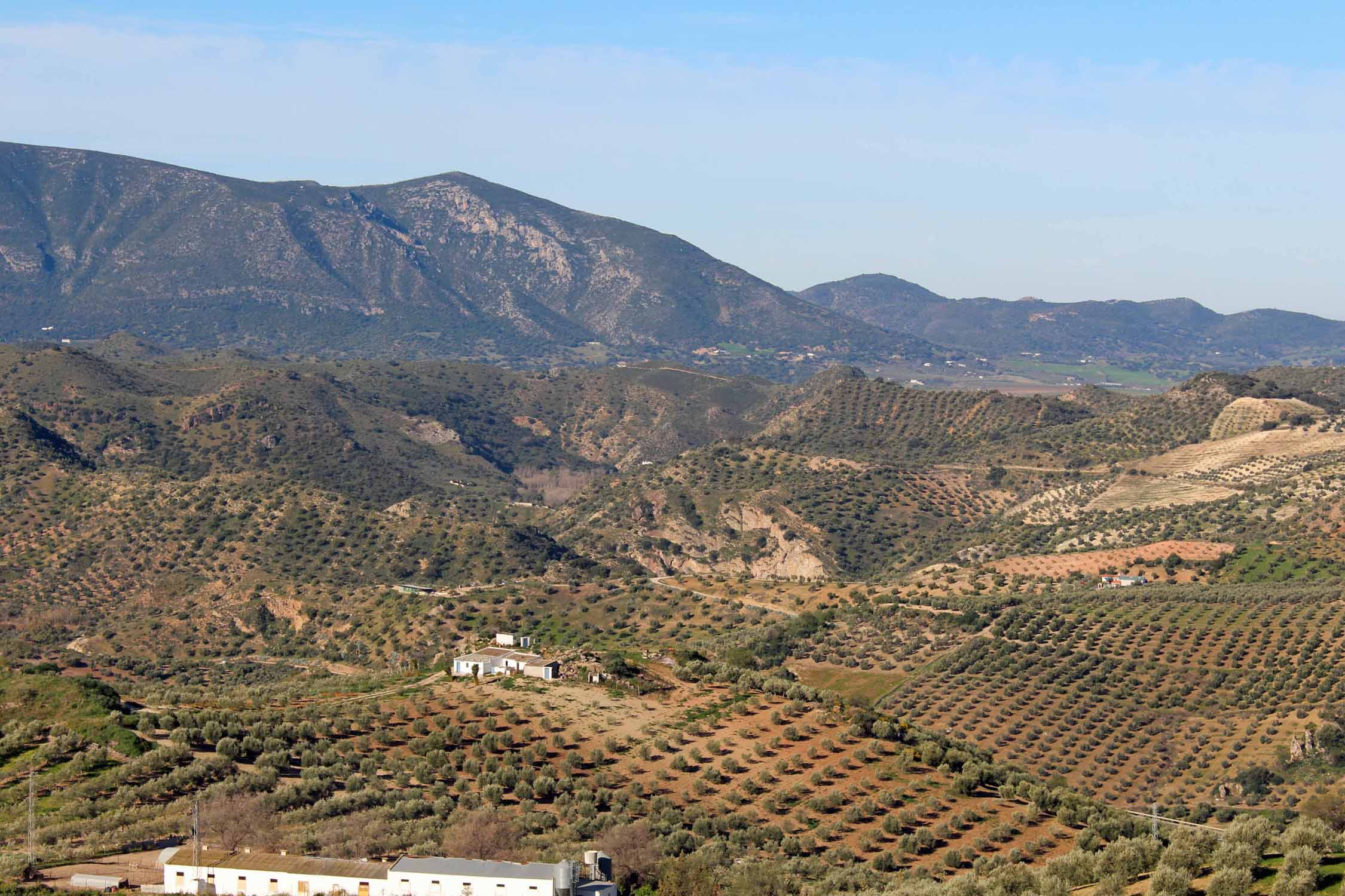 Olvera, village blanc, paysage