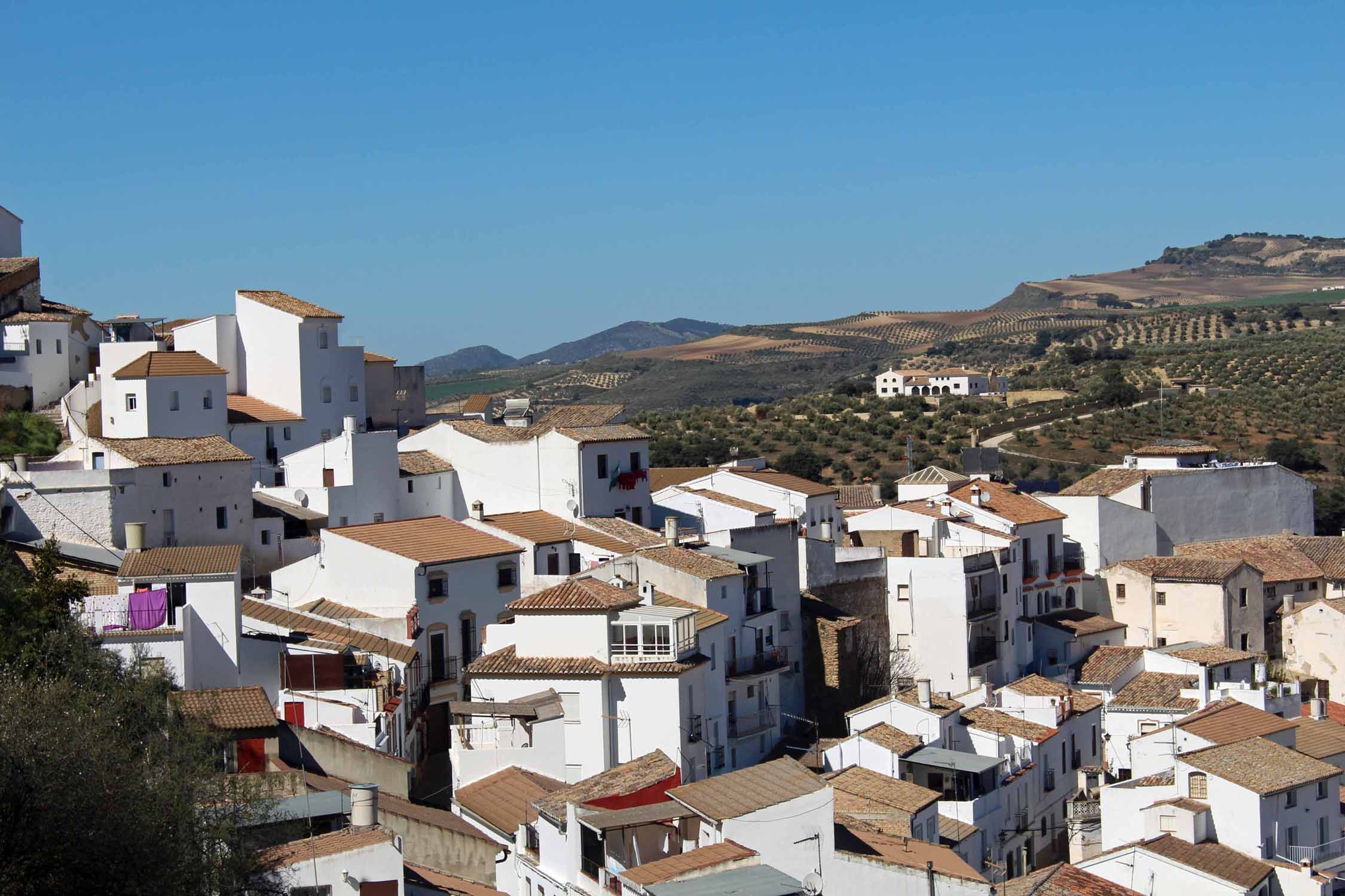 Setenil de las Bodegas, paysage, Andalousie