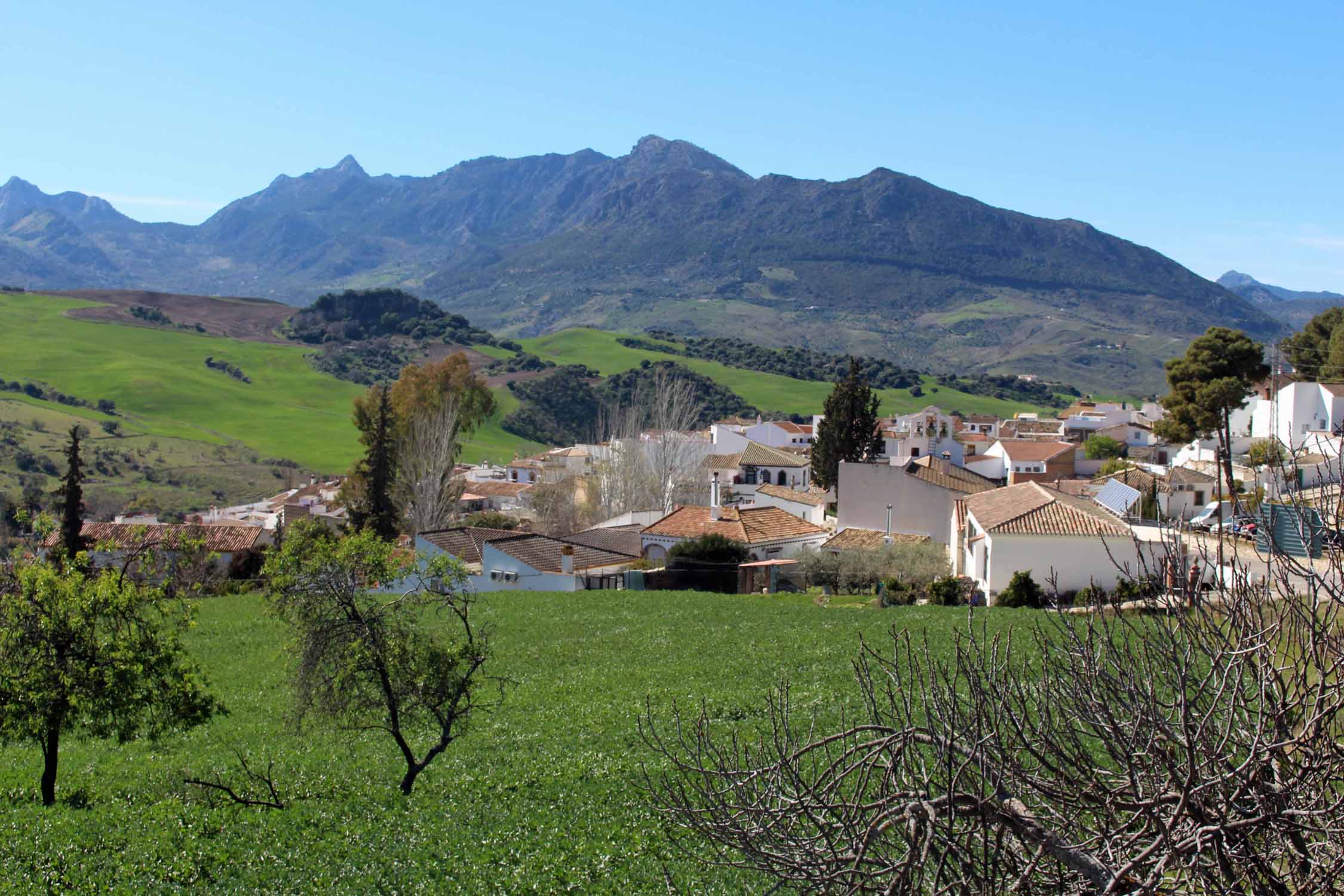 Sierra de Grazalema, paysage