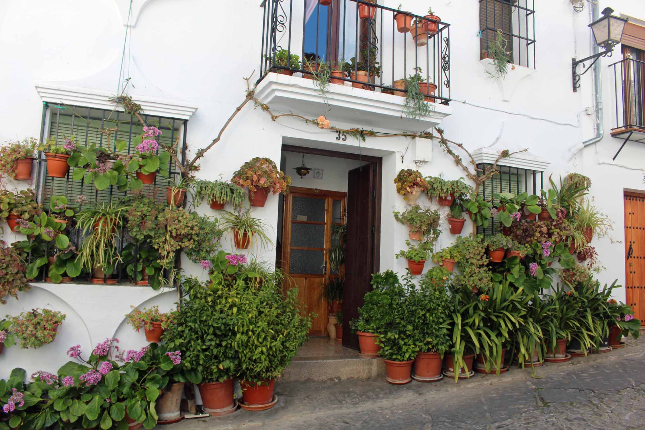 Grazalema, maison blanche, plantes