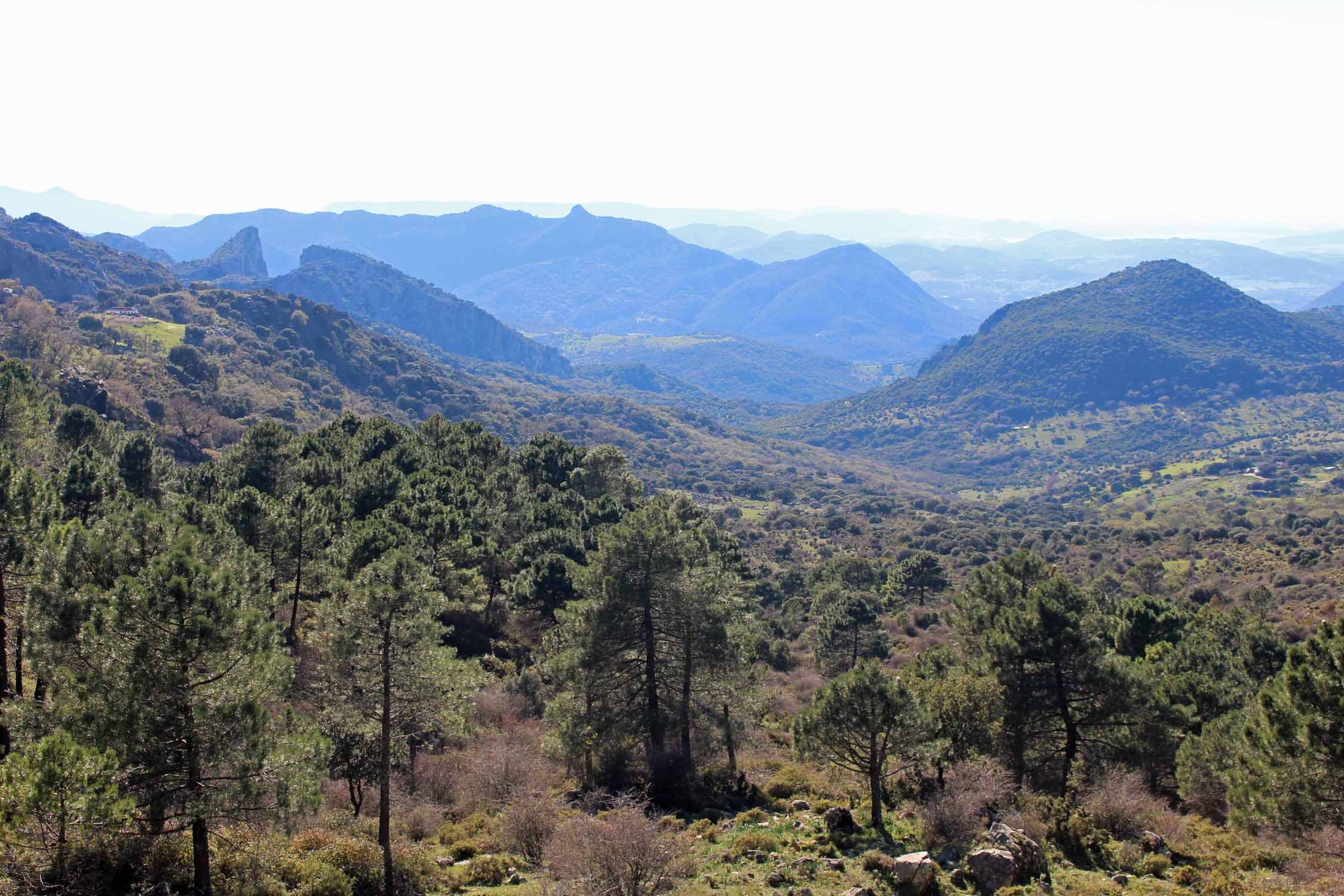 Grazalema, Puerto del Boyar, paysage