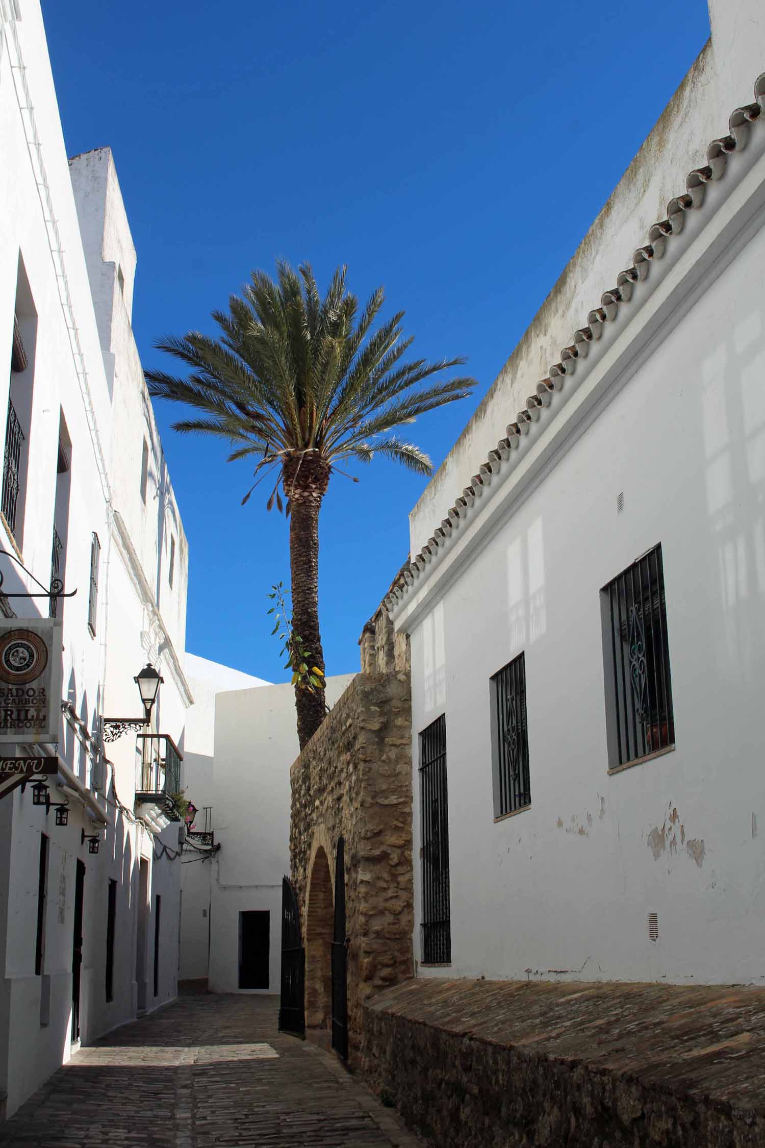 Vejer de la Frontera, village blanc, palmier