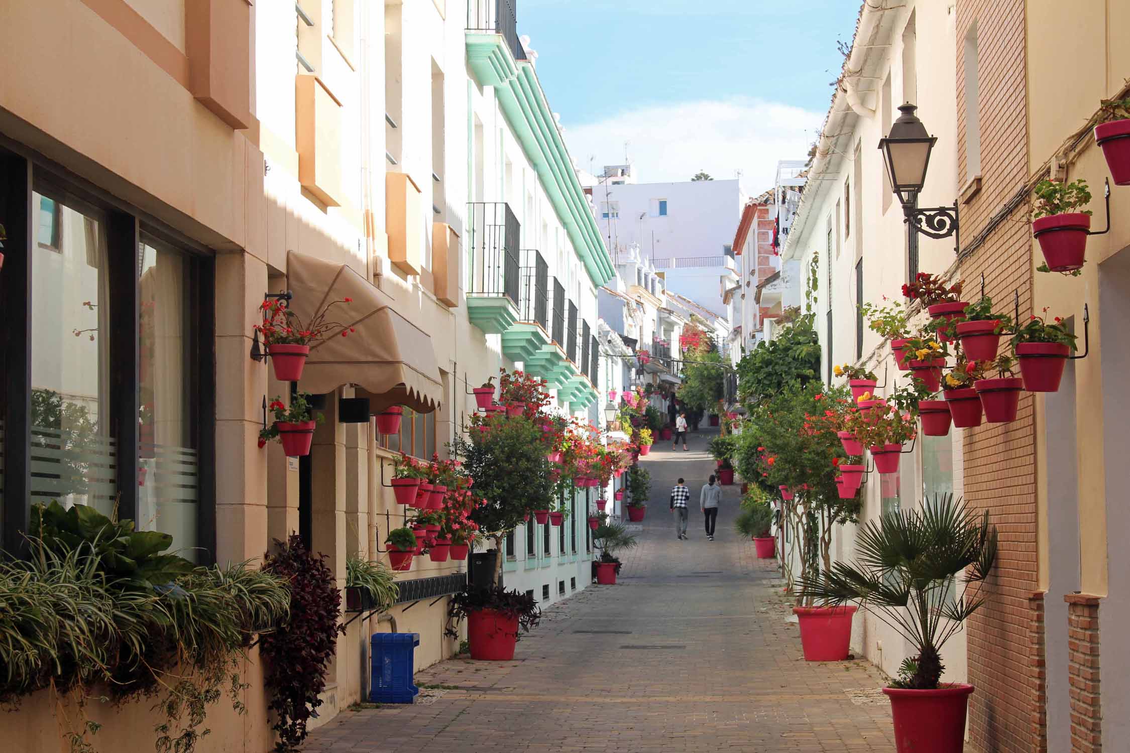 Estepona, rue, géraniums