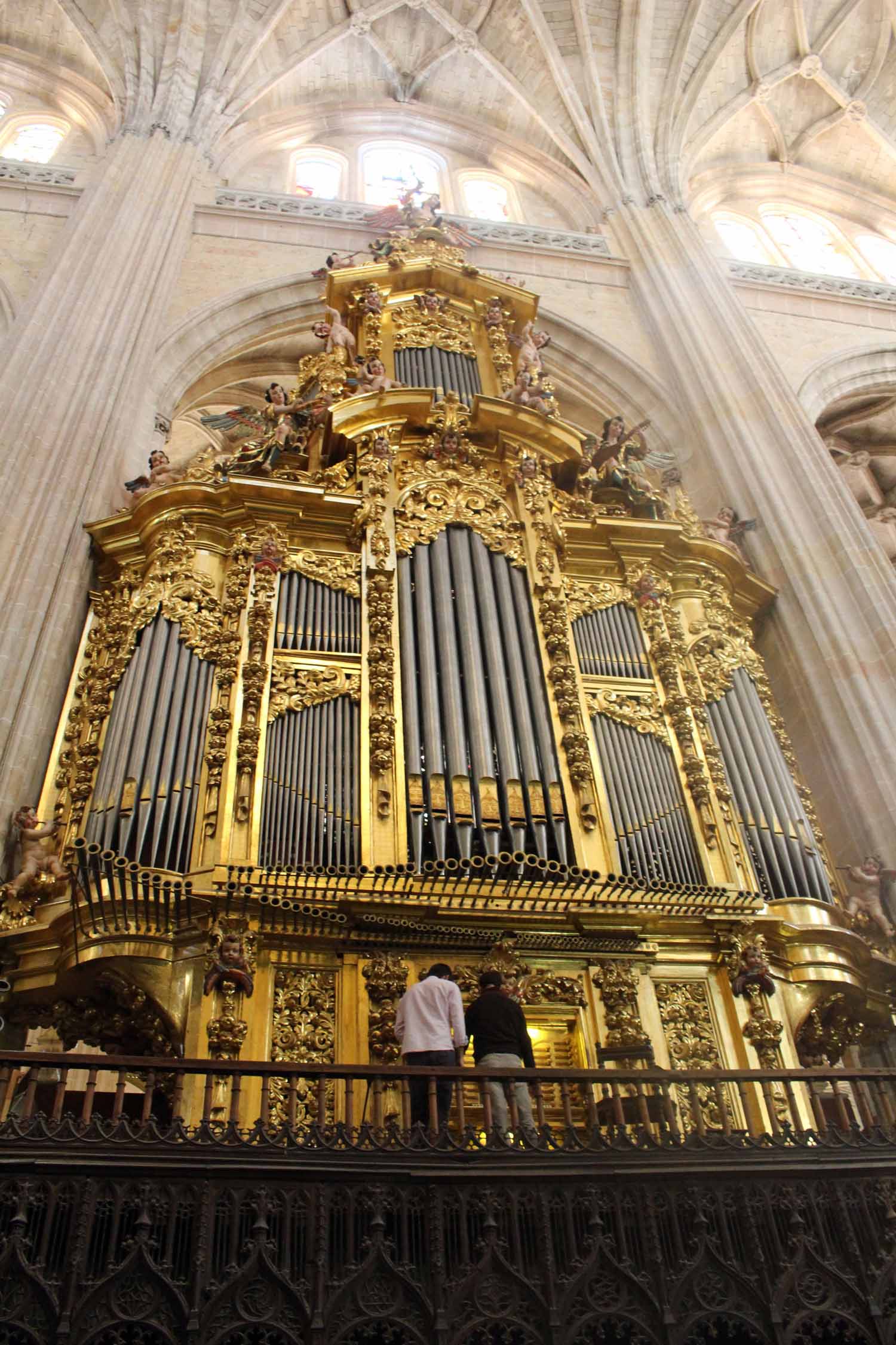 Ségovie, cathédrale, orgue