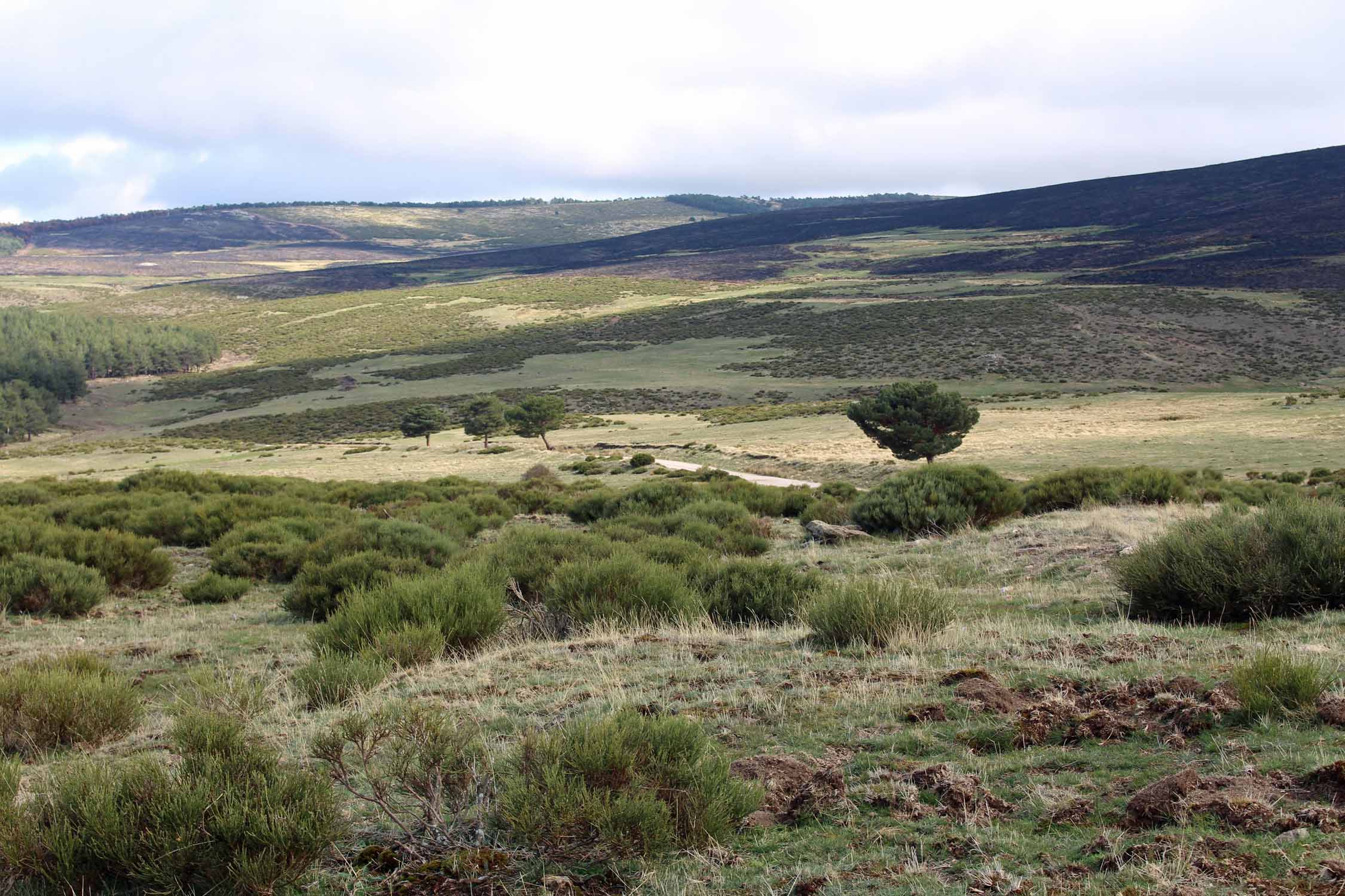 Guadarrama, col de la Morcuera, paysage