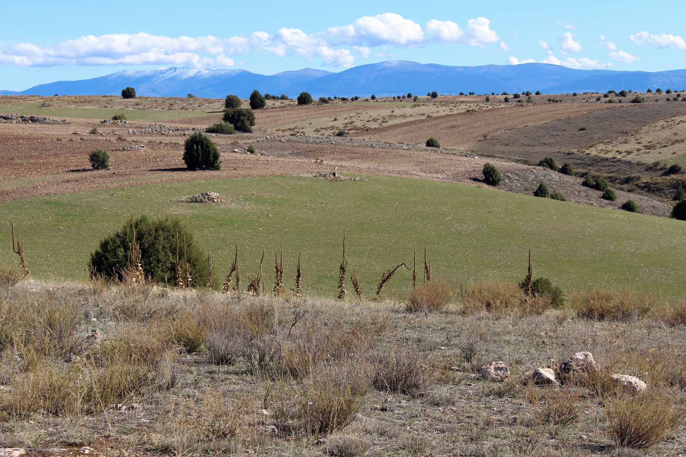 Parc hoces del Duraton, paysage