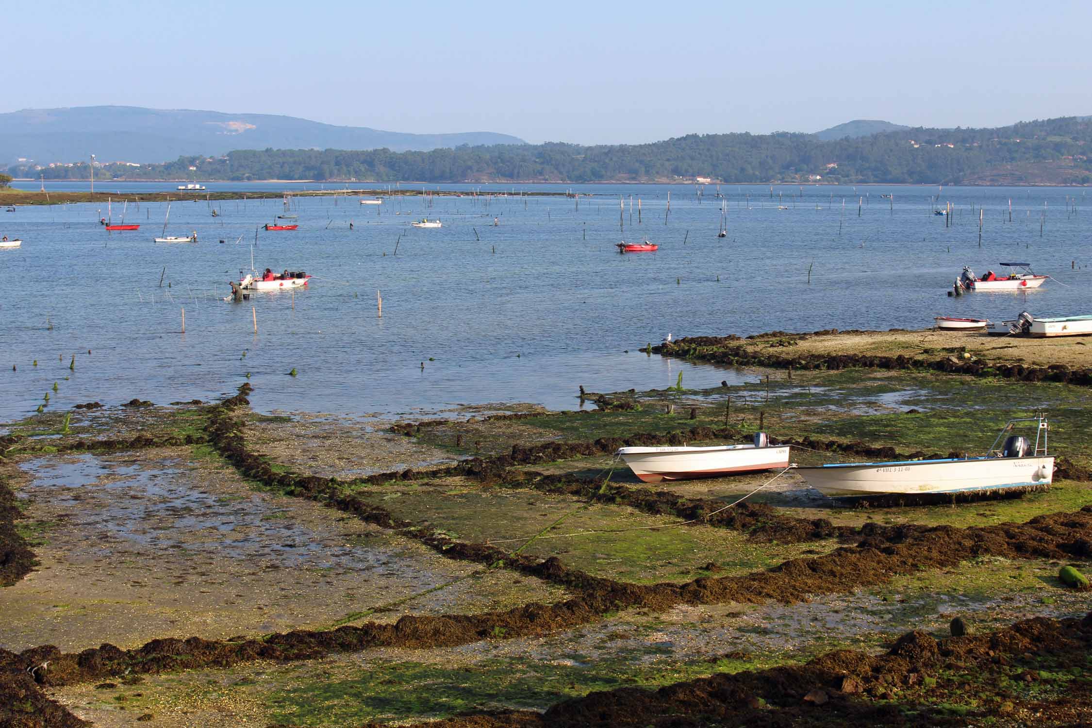 Vilagarcia de Arousa, bateaux de pêche