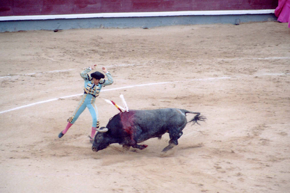 Corrida, spectacle