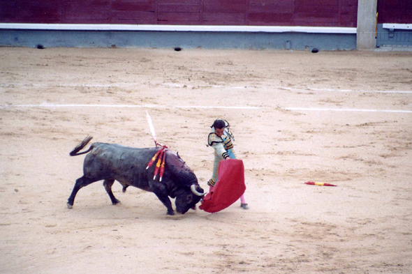 Spectacle de Corrida