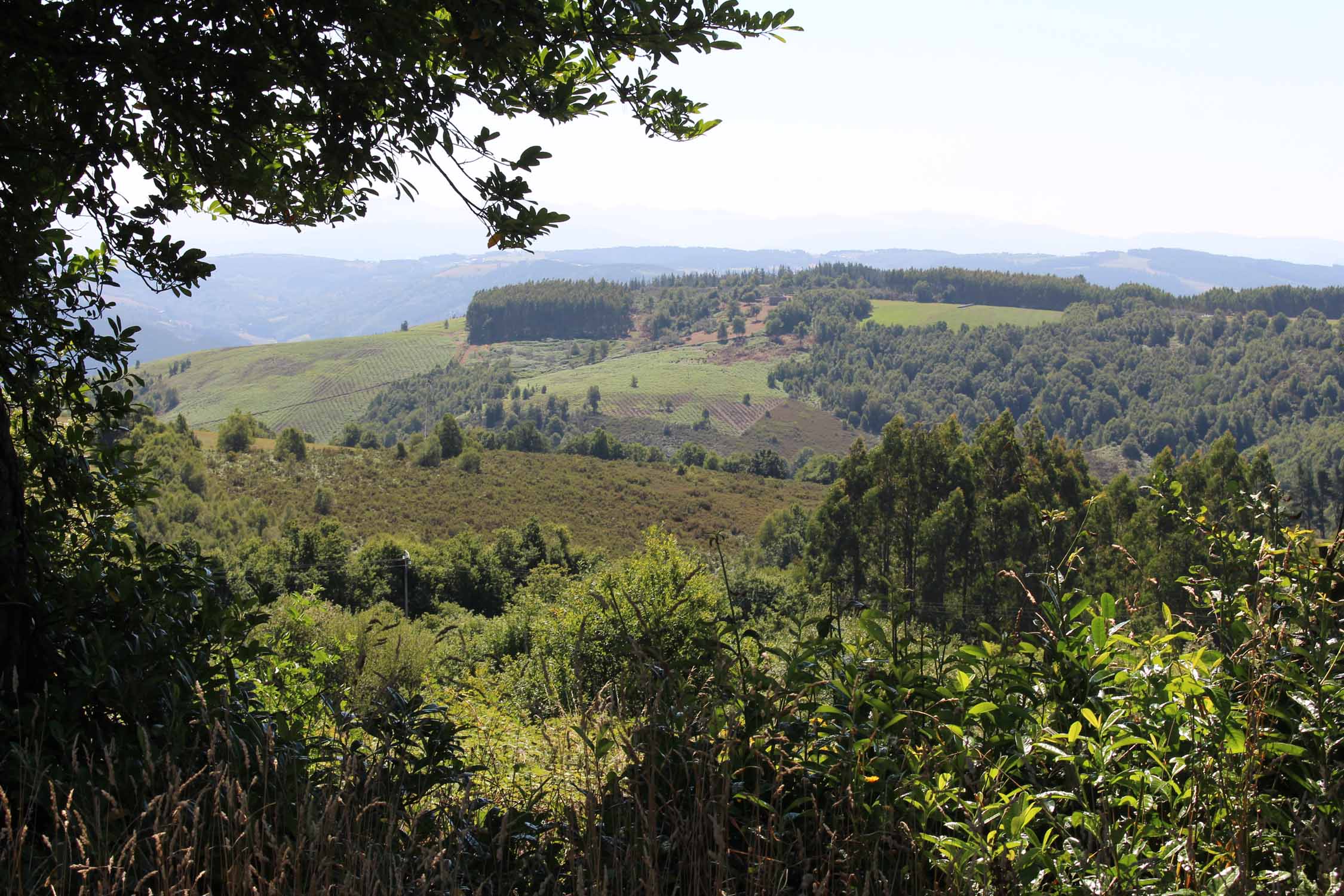 Grandas de Salime, paysage