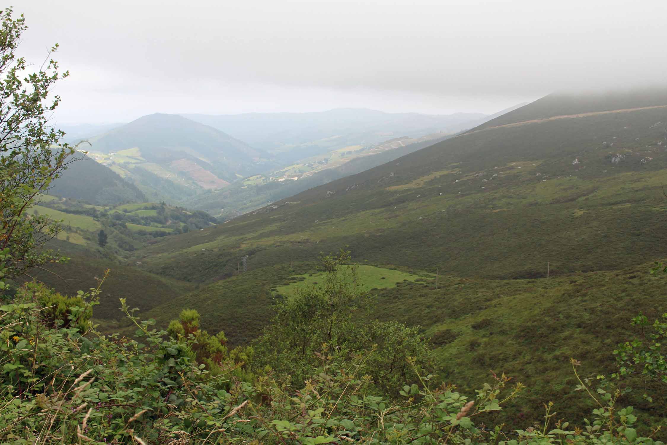 Vallée de Navia, paysage