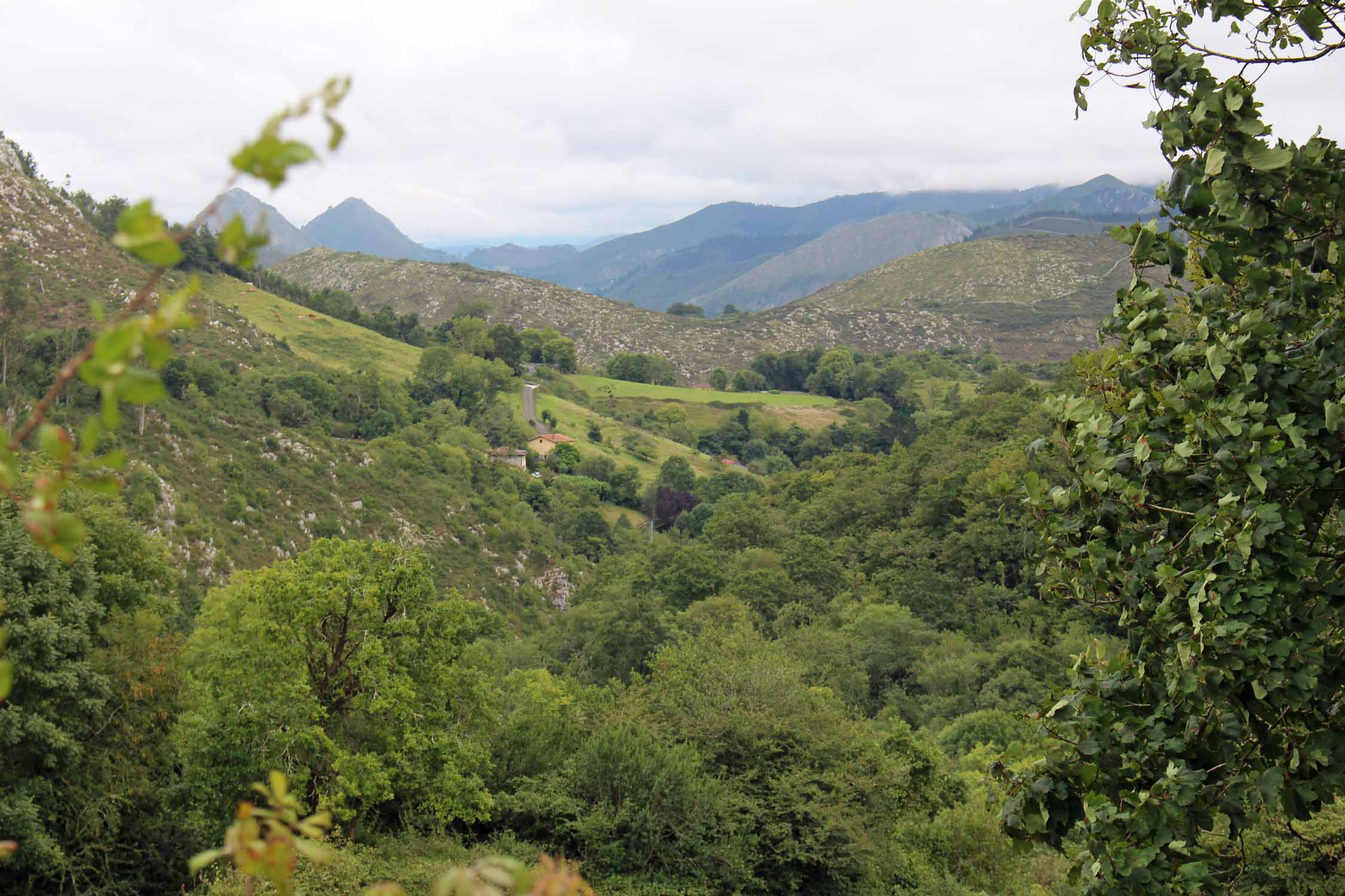 Parc national de Sueve