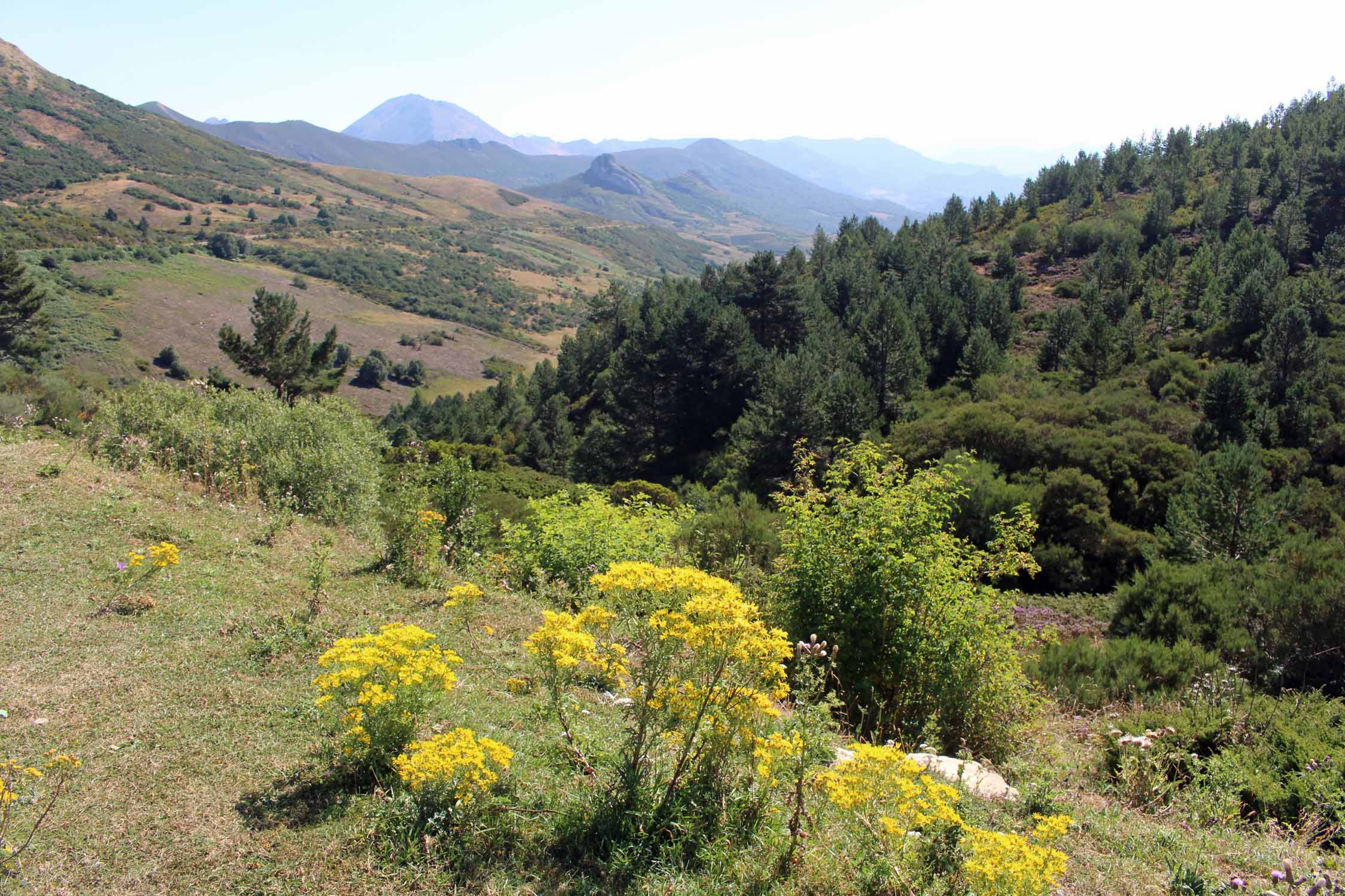 Col de las Señales, monts Cantabriques