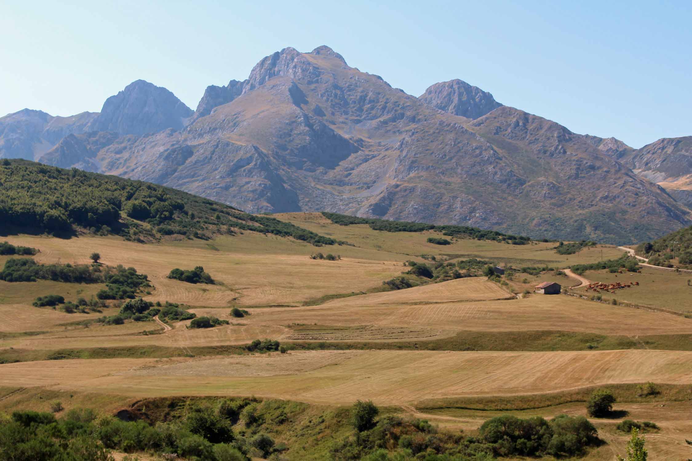 Col de Tarna, paysage