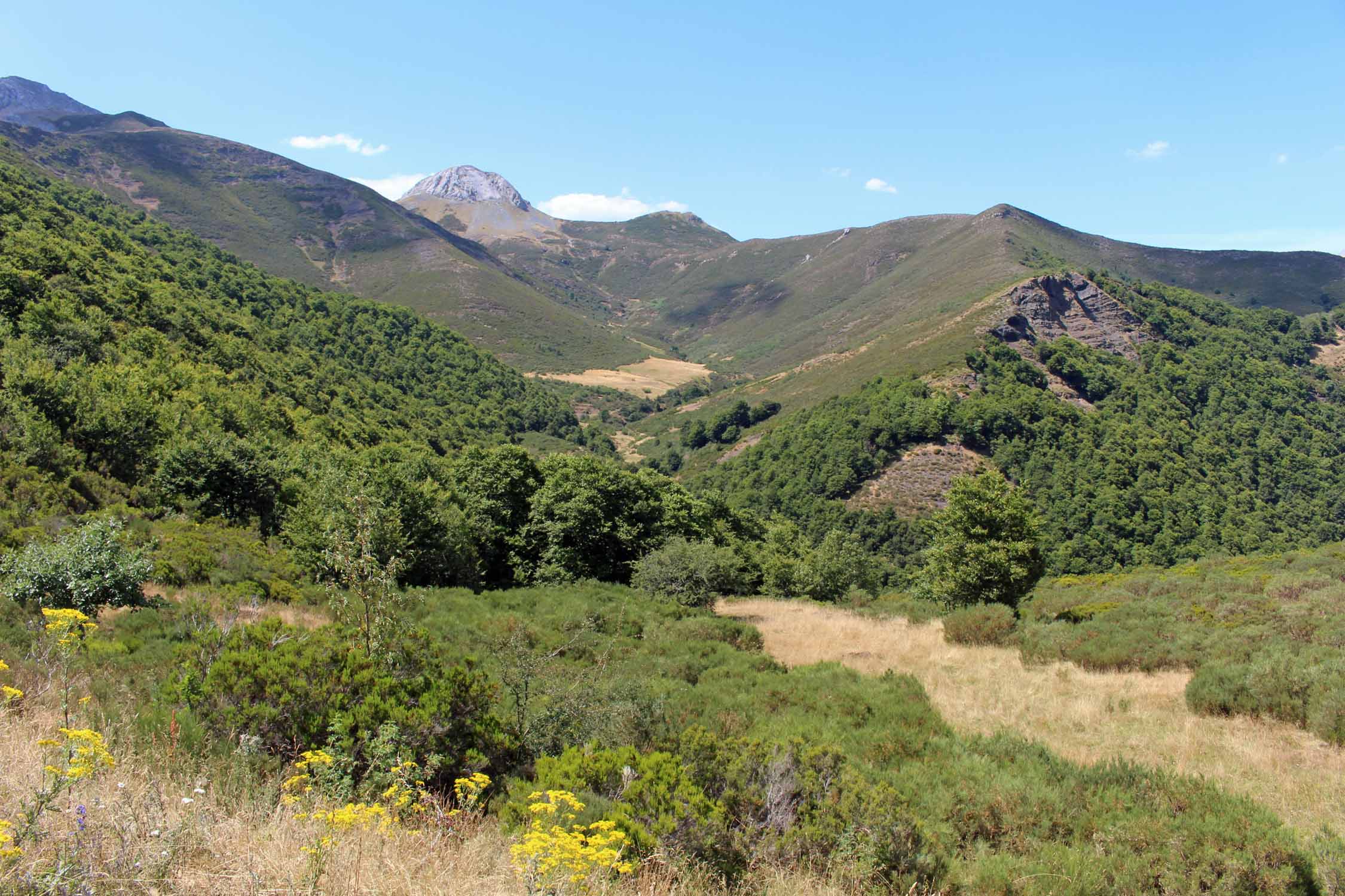 Paysage, Col de Pandetrave