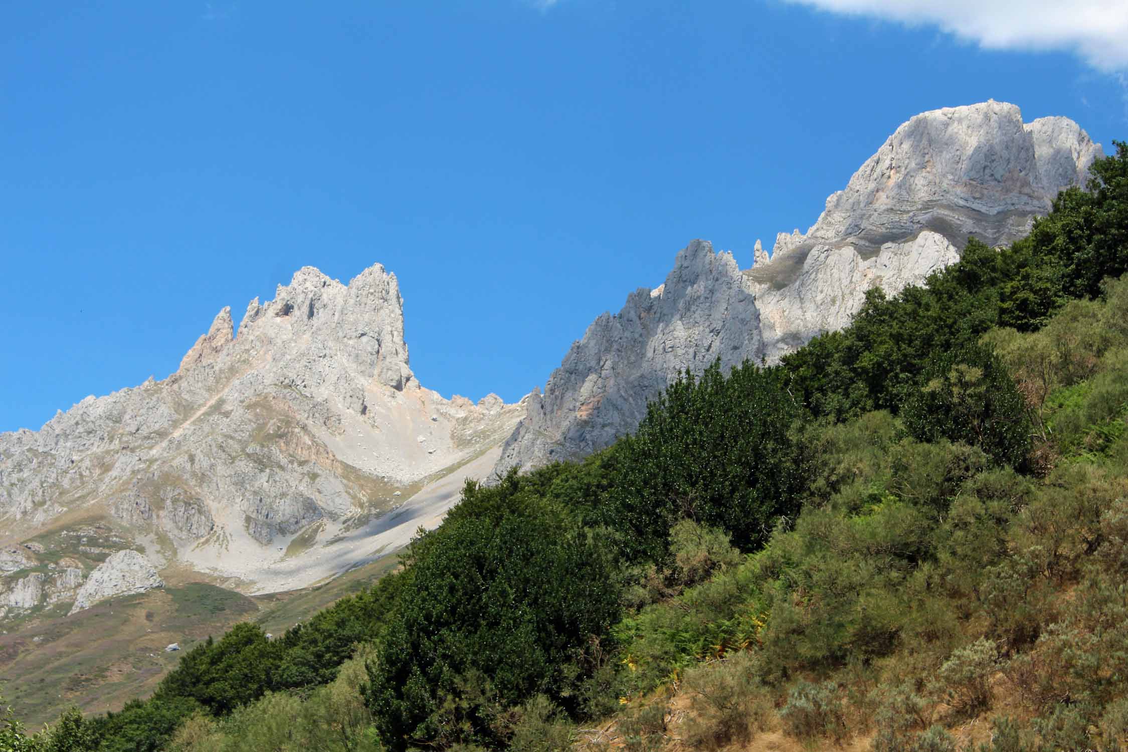 Parc de Picos de Europa, pic Uriello