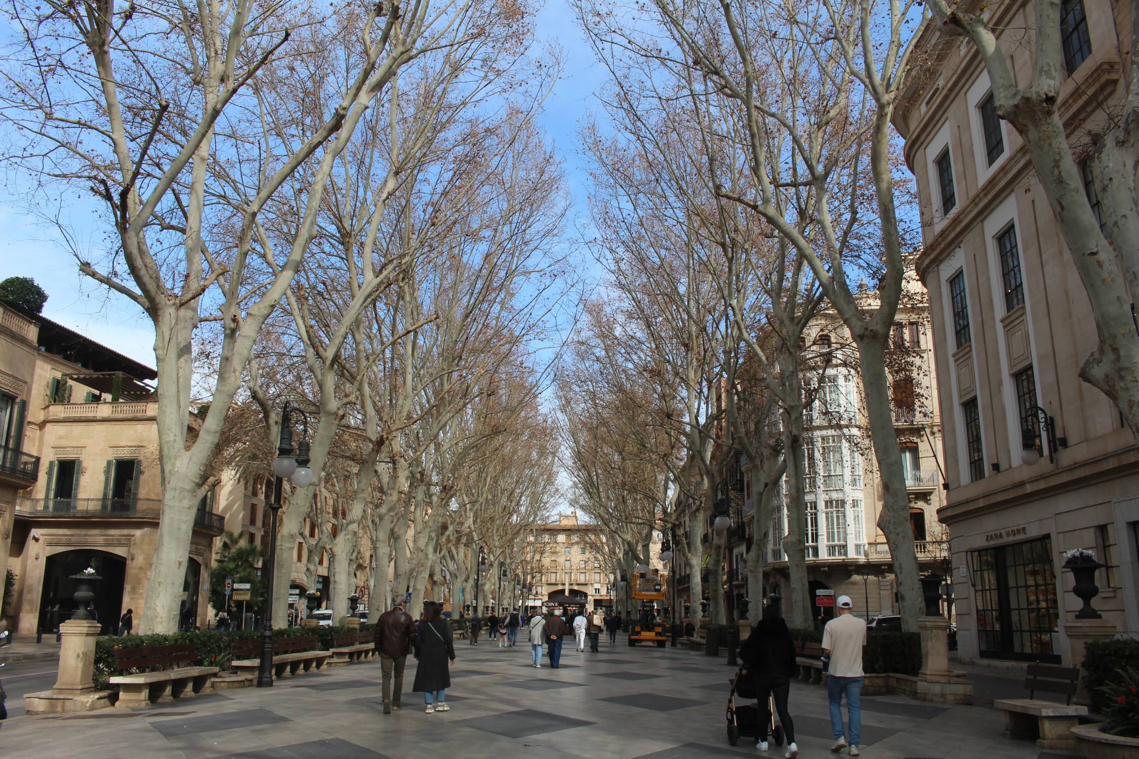 Palma de Majorque, Passeig del Born