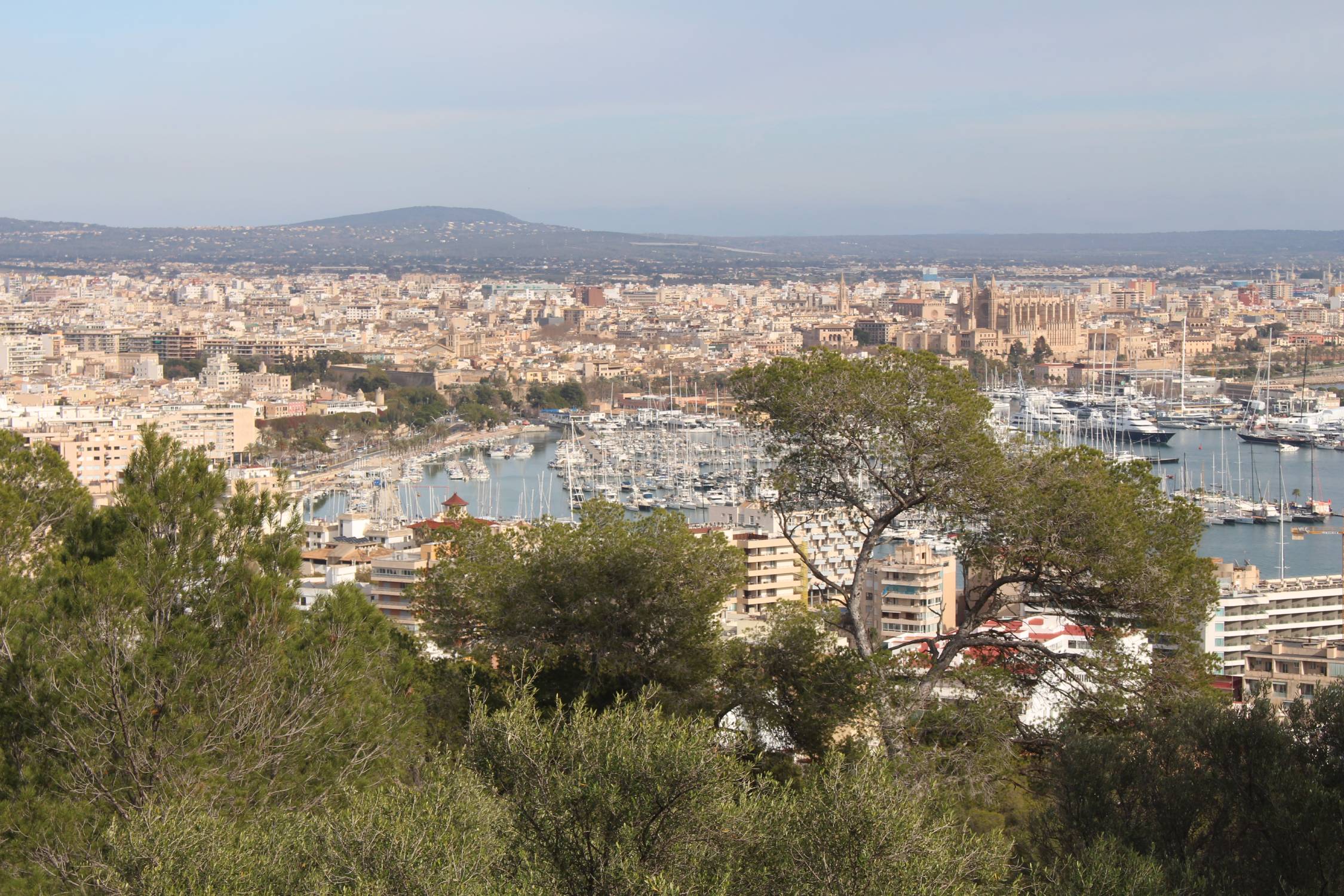 Palma de Majorque, paysage