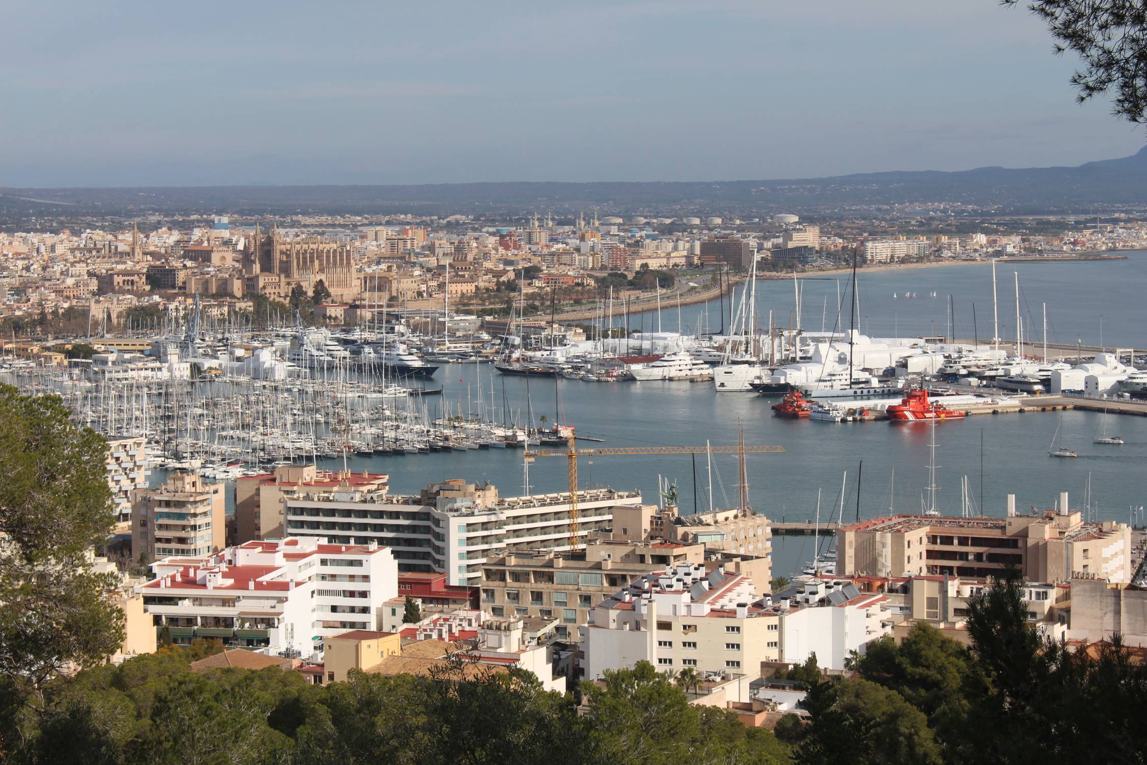 Palma de Majorque, port