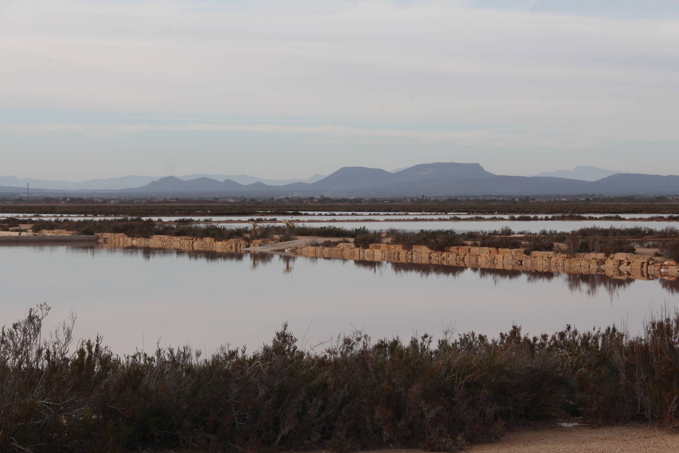 Majorque, salines des Trenc