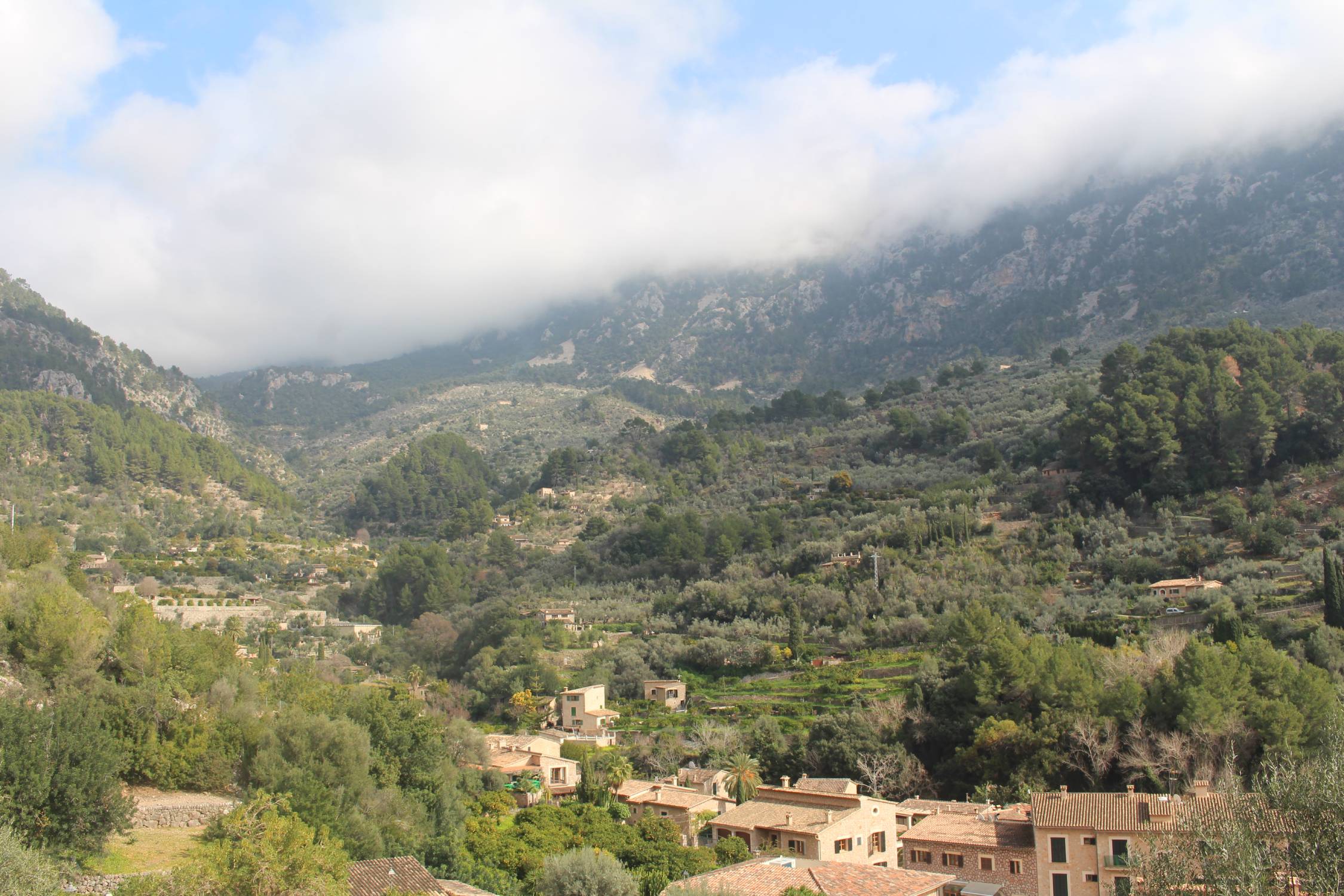 Majorque, Fornalutx, paysage