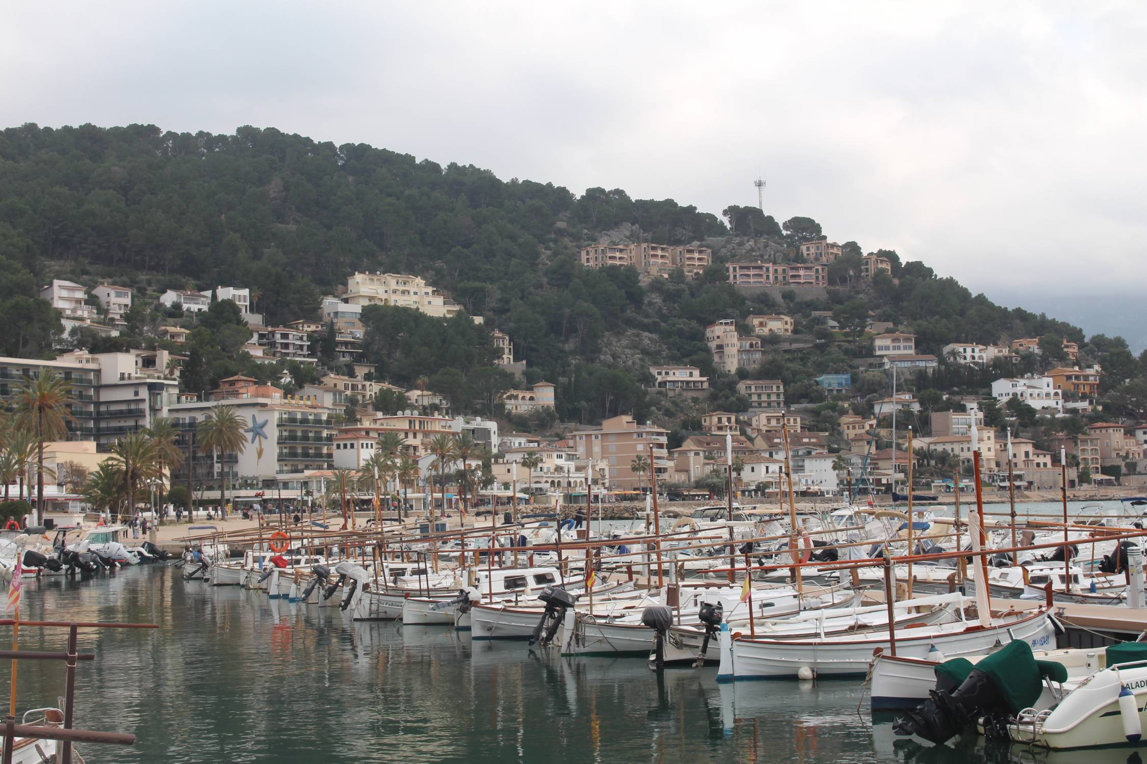 Majorque, Port de Sóller, port, bateaux