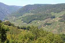 Canyon du Sil, Galice, vignobles