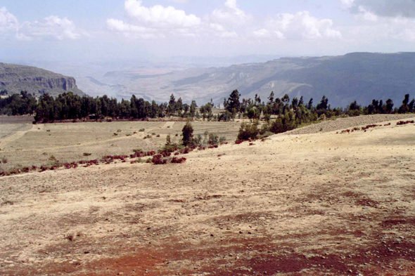 Ethiopie, Vallée de Jema