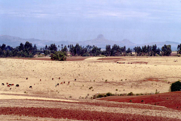 Injibara, paysage