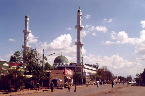 Bahar Dar, mosquée