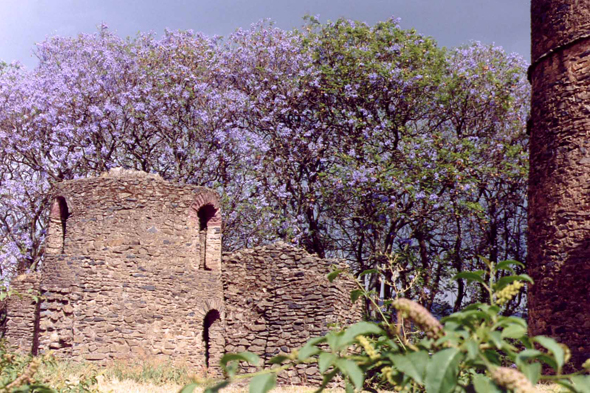 Châteaux de Gondar