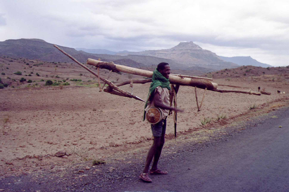 Vallée de Tekeze, agriculteur