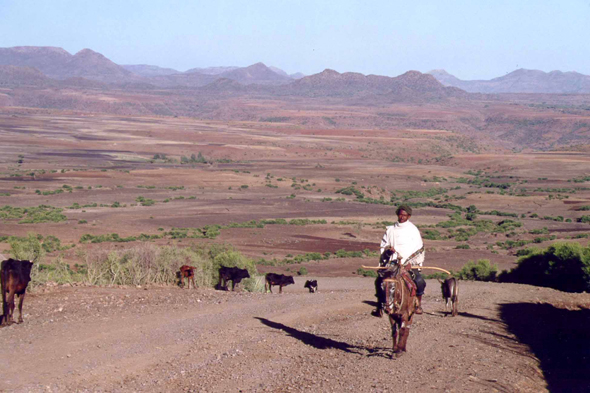 Vallée de Tekeze, paysage