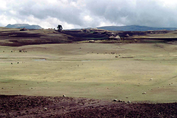 Mont Abune Yusef, paysage