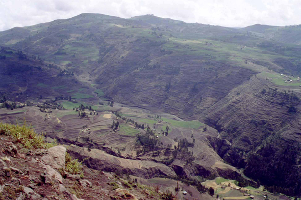 Vallée de Weldiya