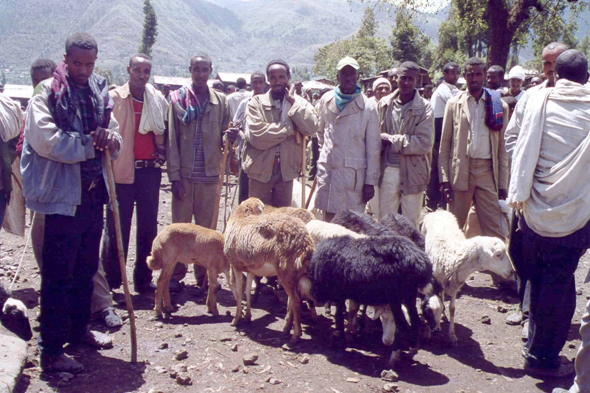 Ethiopie, Weldiya, marché
