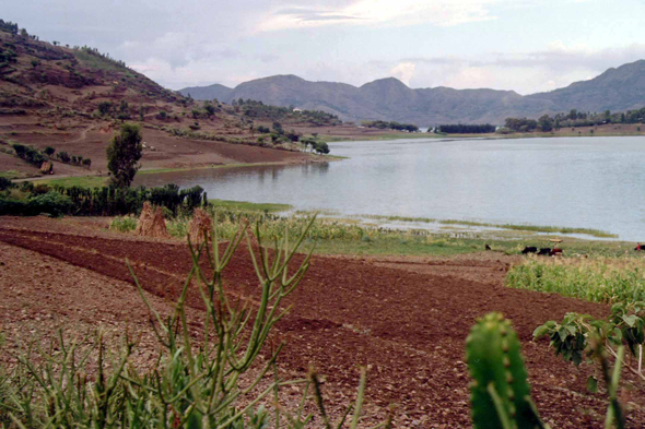 Ethiopie, lac Hayk