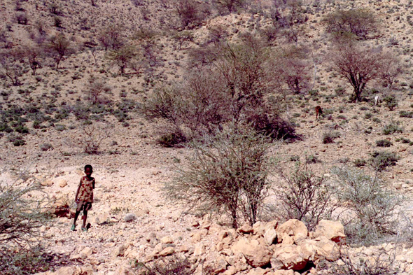 Ethiopie, paysage, brousse