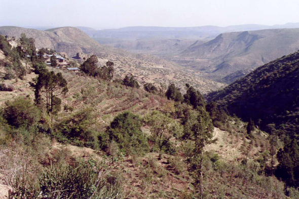 Ethiopie, Monts Ahmar