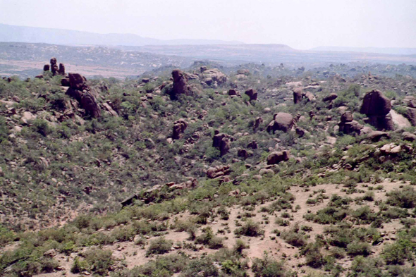 Vallée des Merveilles, Harar