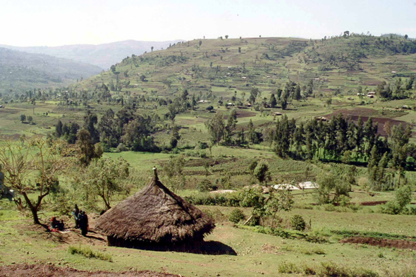 Ethiopie, village de Hirna