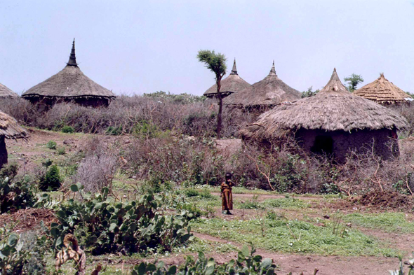 Ethiopie, village de Asebot