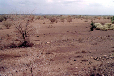 Danakil