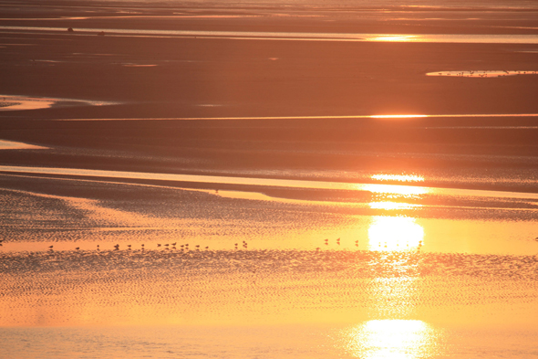 Baie de Somme